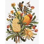 (image for) Banksias